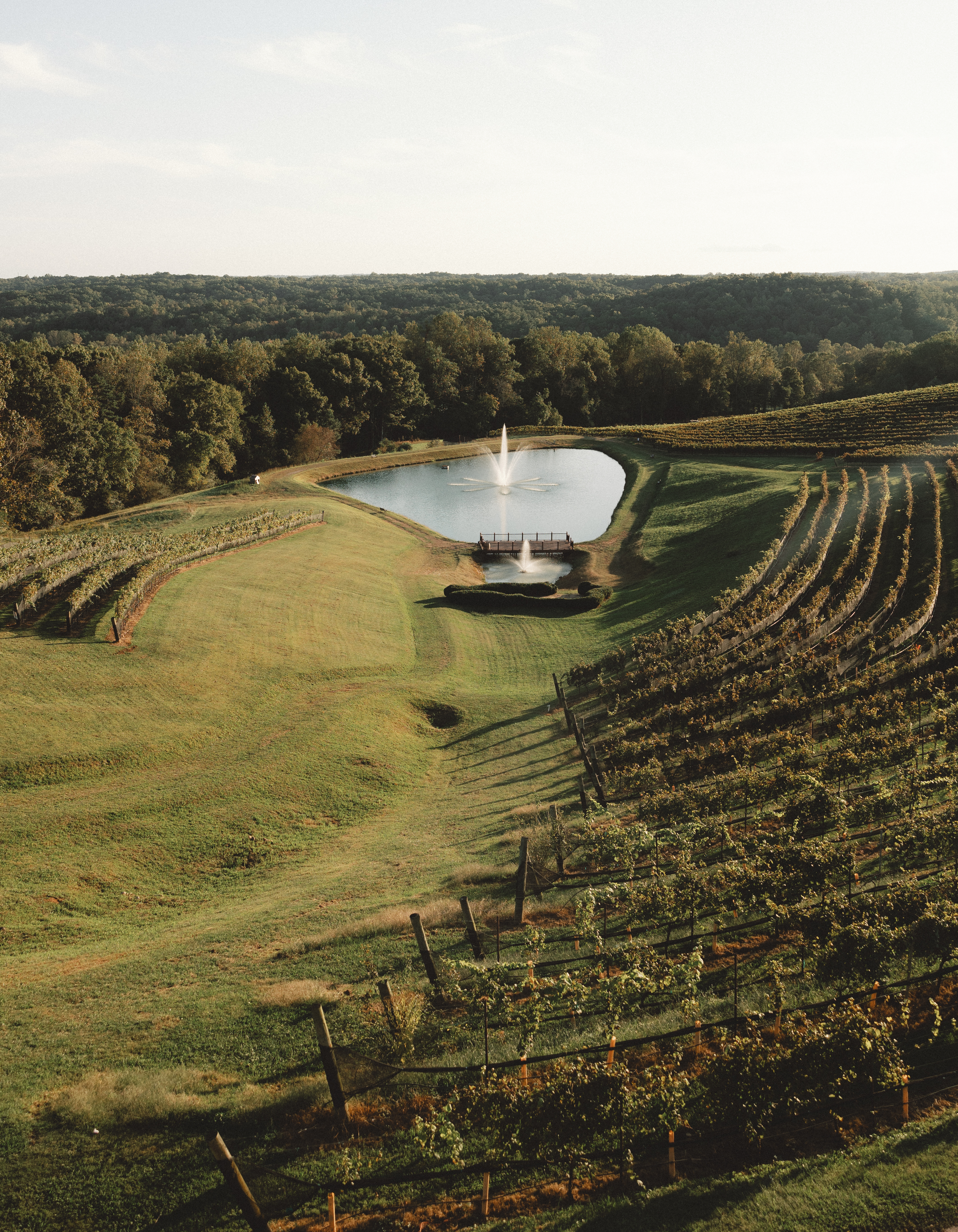 Montaluce Winery & Restaurant