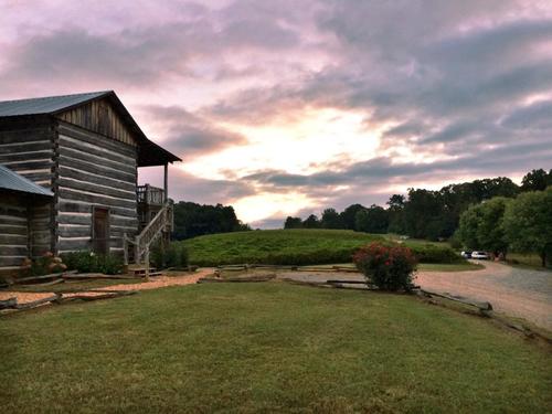 Cavender Creek Vineyards